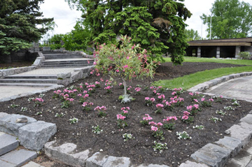 a few flowers inside the International Peace Garden